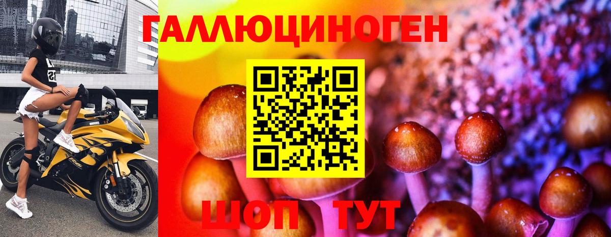 Псилоцибиновые грибы MAGIC MUSHROOMS Приморско-Ахтарск