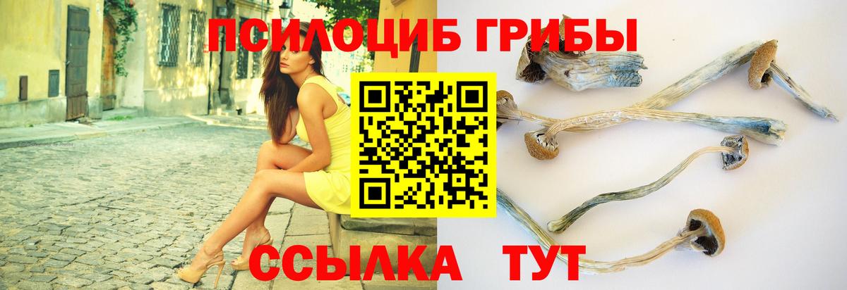 Галлюциногенные грибы Psilocybe  Галлюциногенные грибы прущие грибы  Приморско-Ахтарск  Вход с VPN 